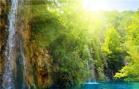 Banner Picture